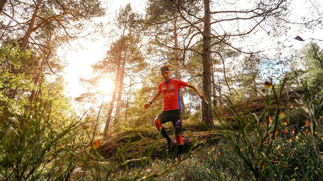 SWEDISH CHAMPIONSHIP IN ORIENTEERING LONG DISTANCE