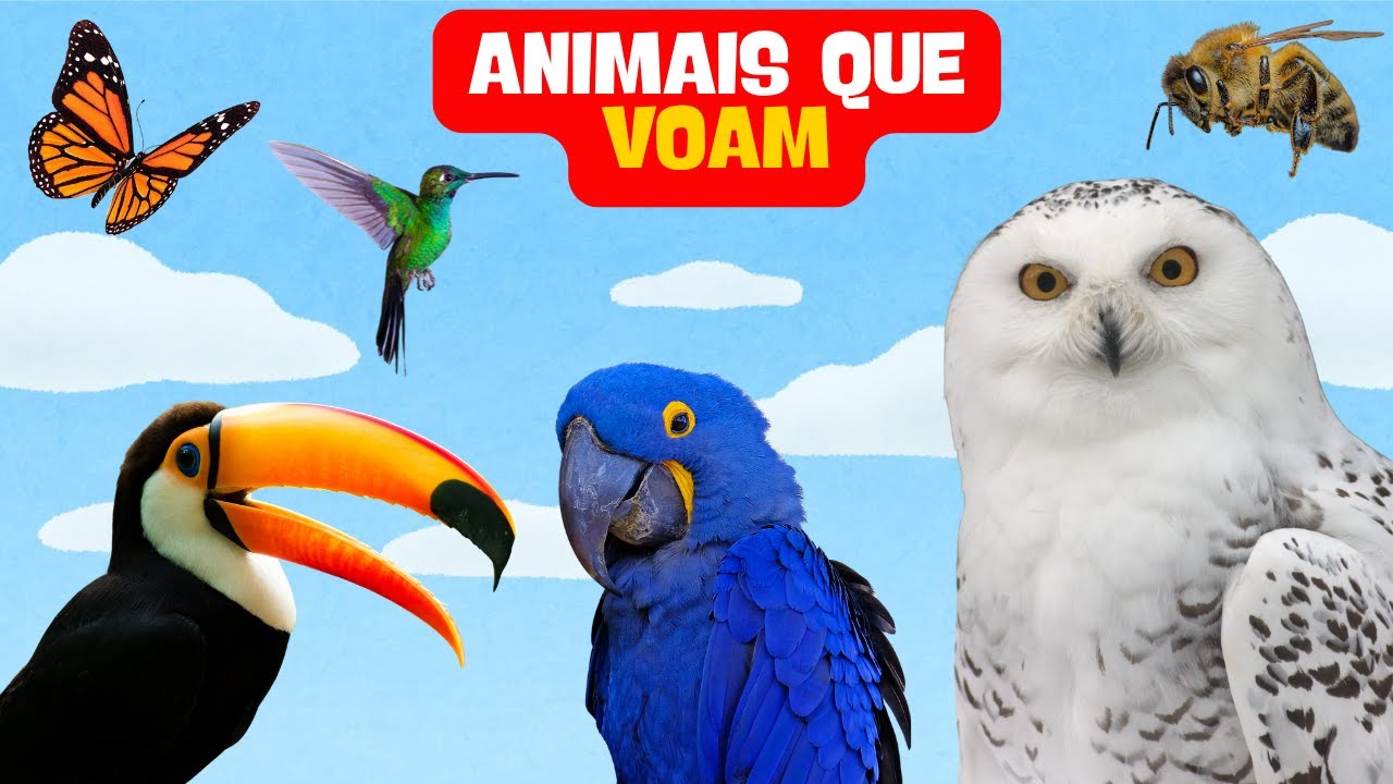 ANIMAIS QUE VOAM - HISTÓRIA PARA CRIANÇA