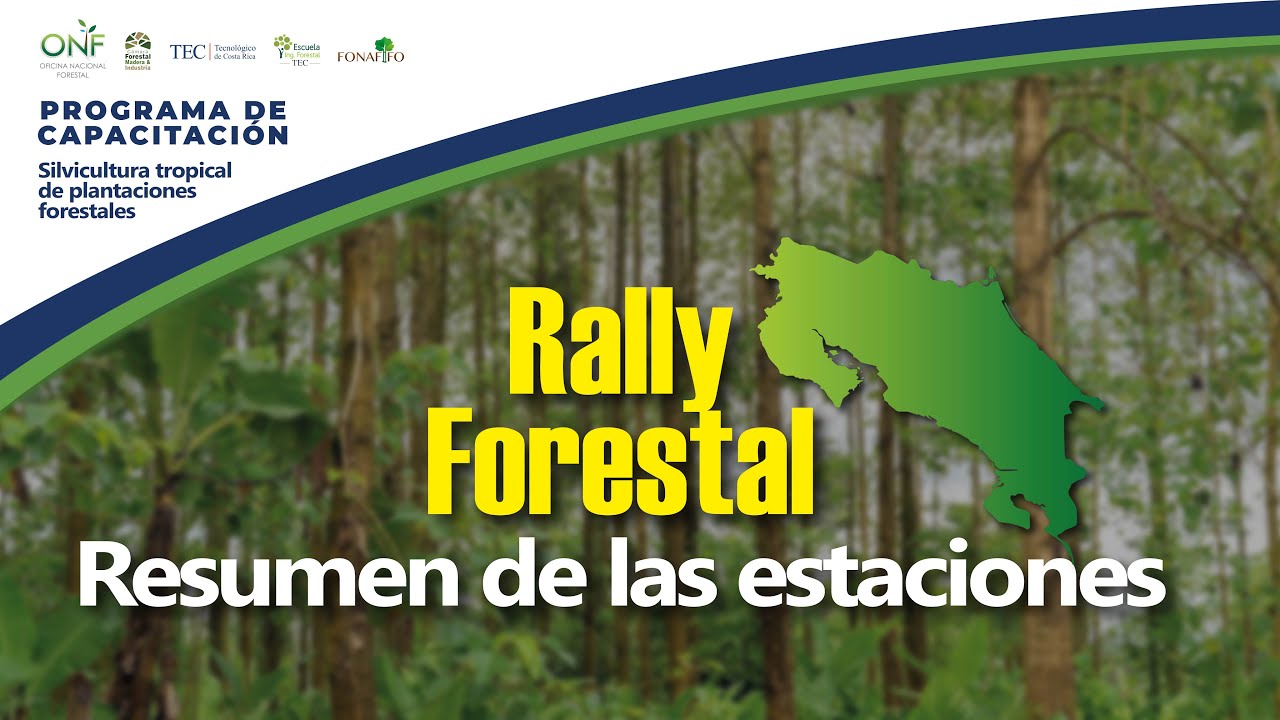 Resumen Estaciones Rally Forestal