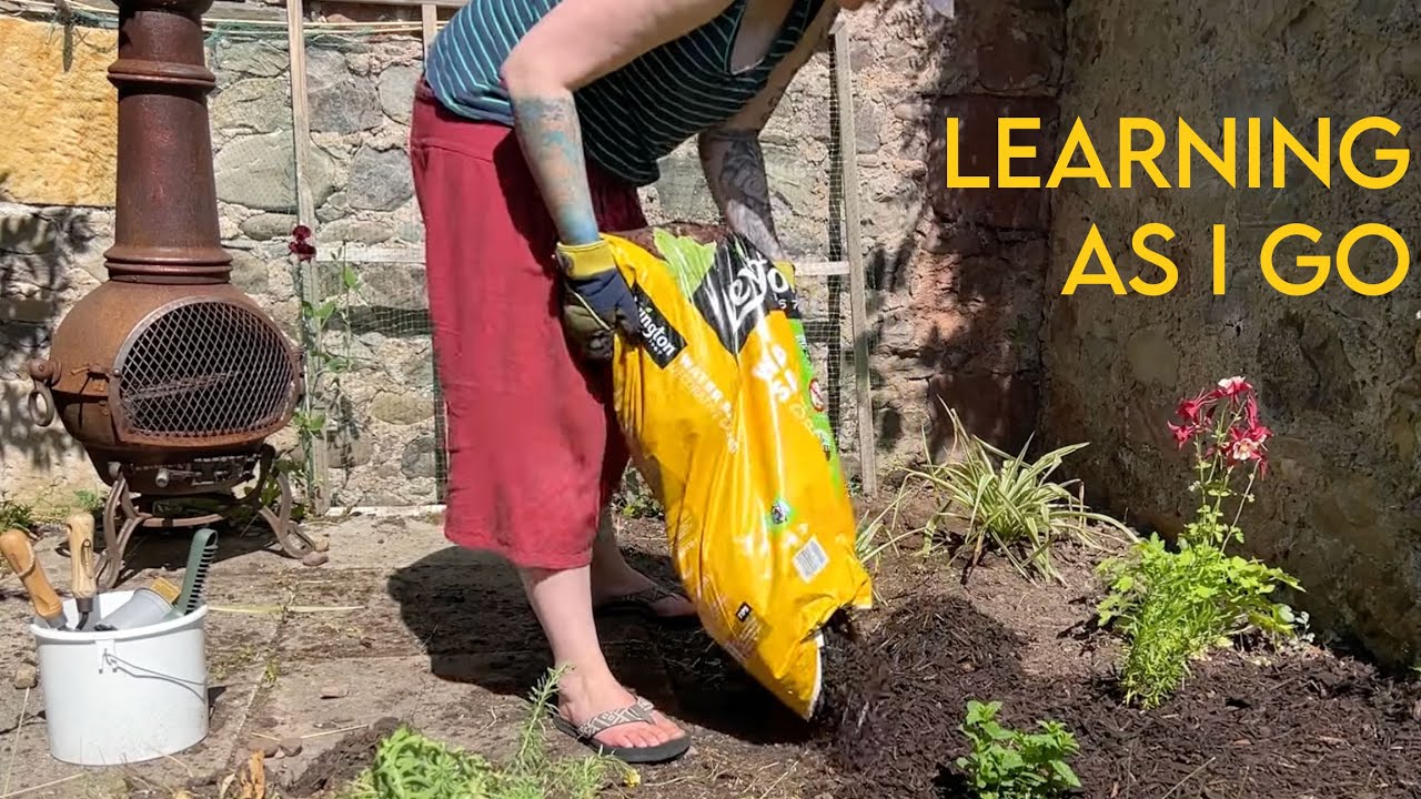 being a garden noob (Summer in Scotland vlog)
