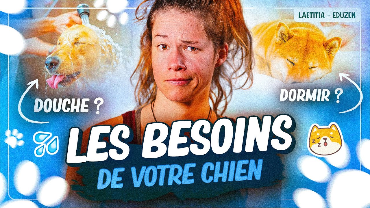 Connaître les réels besoins de son chien ! | Laetitia Gonnon - Eduzen