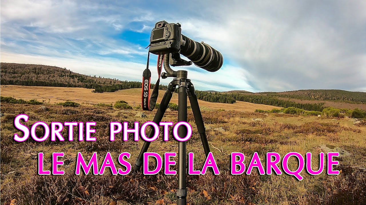 SORTIE PHOTO -  Le Mas de La Barque