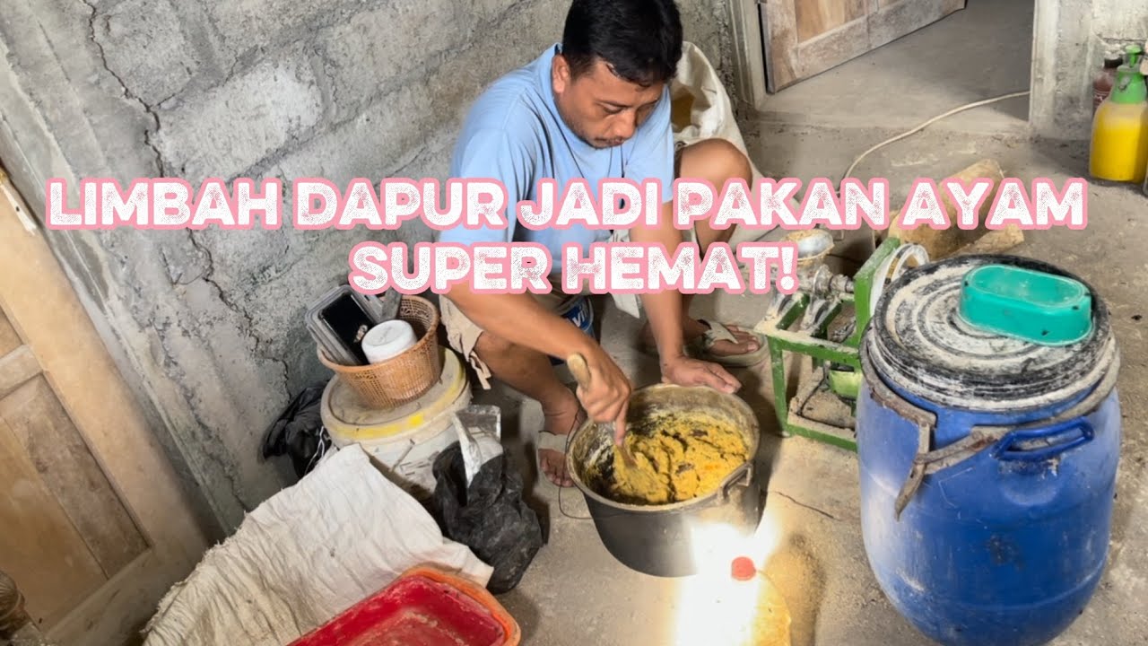 Limbah Dapur Jadi Pakan Ayam Super Hemat! Digiling, Dibuat Pelet, Lalu Difermentasi 