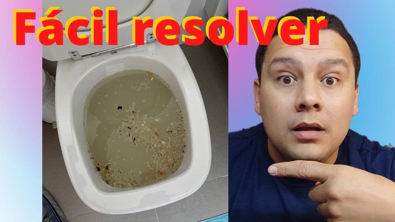 Como desentupir privada. Sanitário entupido? Resolver sem bagunça.