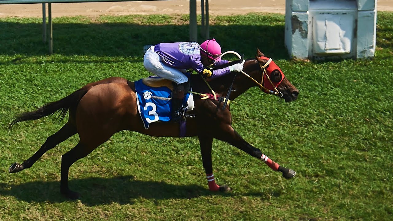 LOVE BUDDY - 01/02/2026 - Race 2  - The Grace Stakes (Country-Bred Class 4)