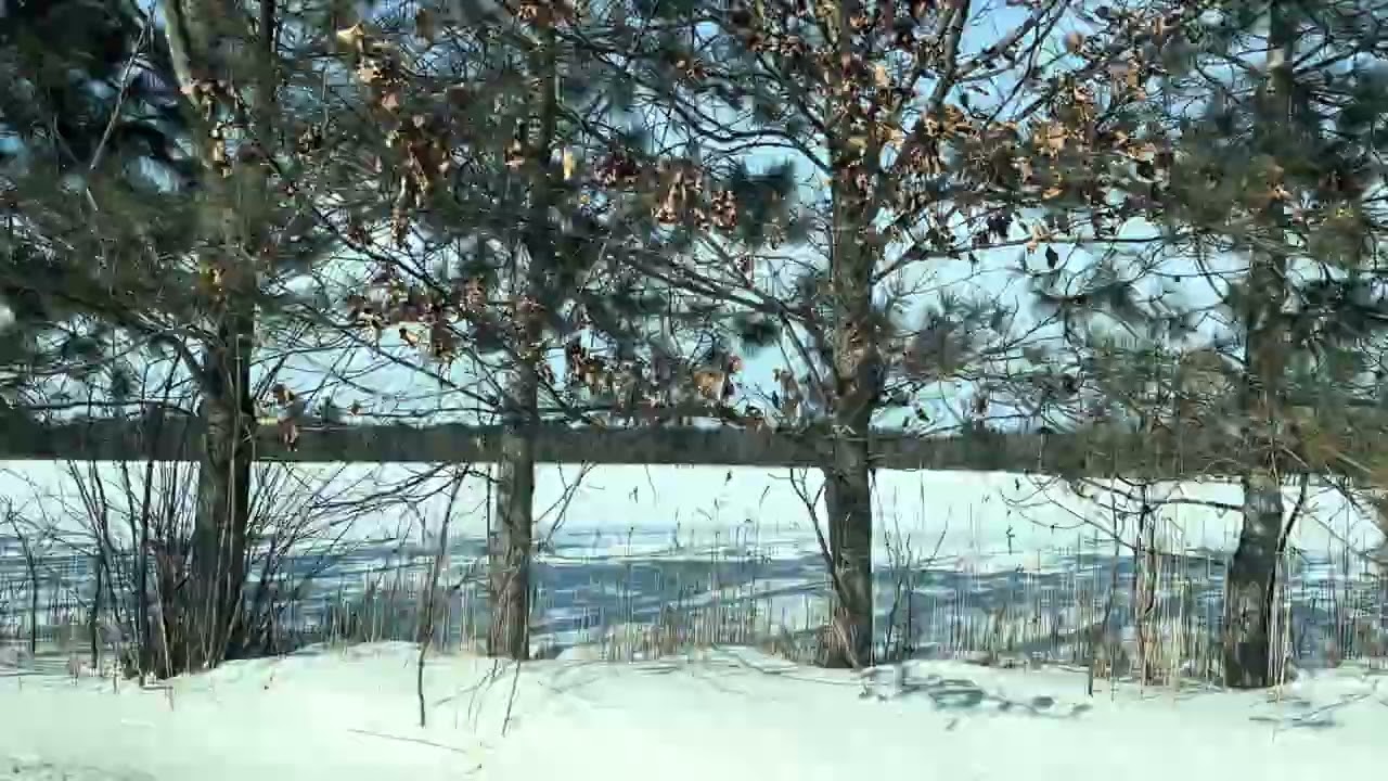CANADA : LES CHAMPS BLANCS DU CANADA AUJOURD'HUI, 24 FÉVRIER 2026. #france