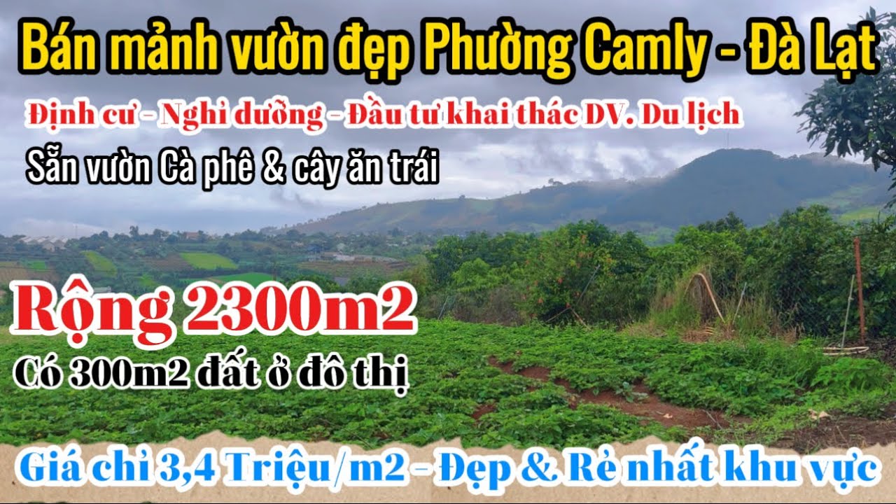 Bán mảnh vườn Phường Camly, TP. Đà Lạt rộng 2300m2, có 300m2 thổ cư giá rẻ nhất khu vực 3,4 Triệu/m2