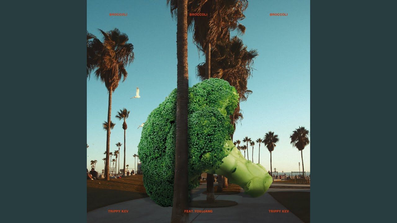 Broccoli (feat. Youjjang)