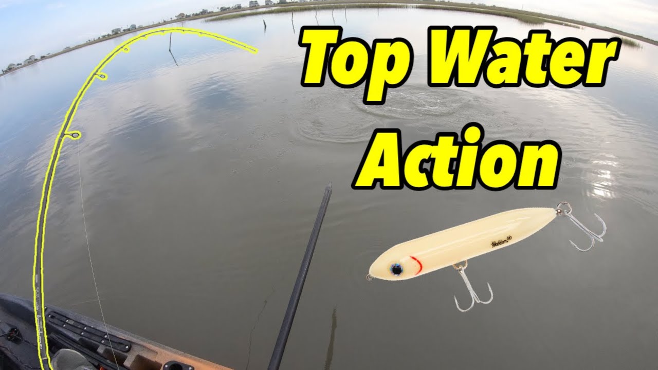 Top Water Action - Kayak fishing **West Bay** Galveston TX