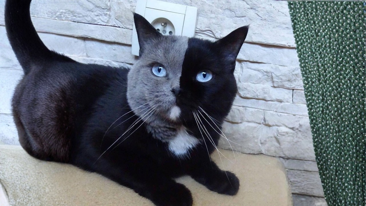 I Saw His Split Face&hellip; And Everything Changed
