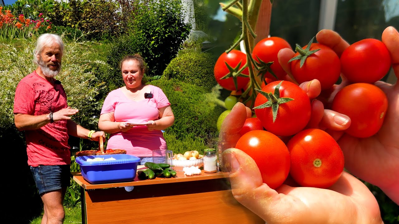 Potravinová soběstačnost - Jak si vyrobit Zimní salát, sběr semínek kopřiv, konzervace česneku