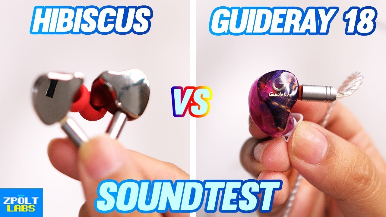 FAAEAL Hibiscus Soundtest vs Guideray GR-i18 🔥 NATURAL Battle!