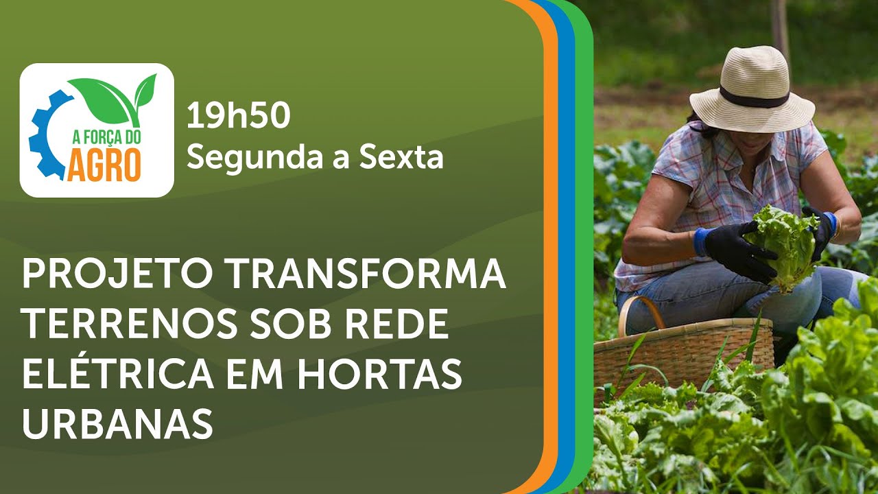 AFA, com Joice Maffezzolli - Projeto transforma terrenos sob rede elétrica em hortas urbanas