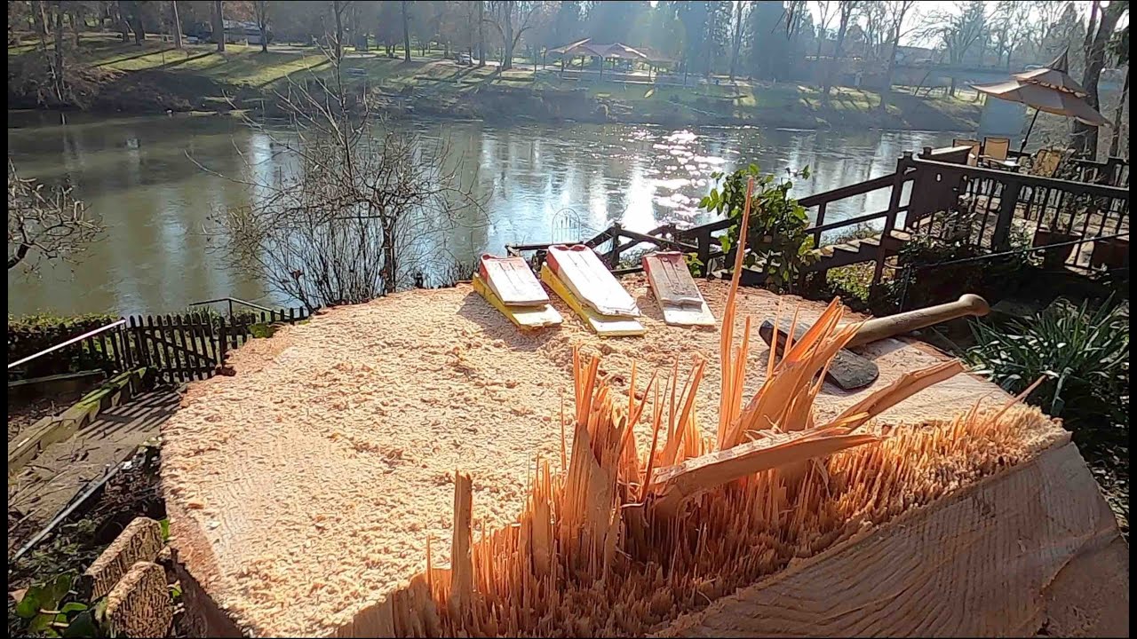 Mega Fir #treeremoval (emergency) part 1