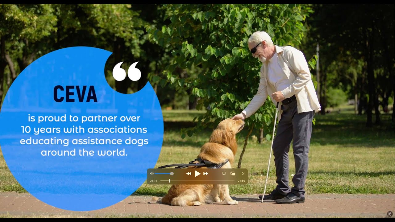 Assistance Dogs Partnerships