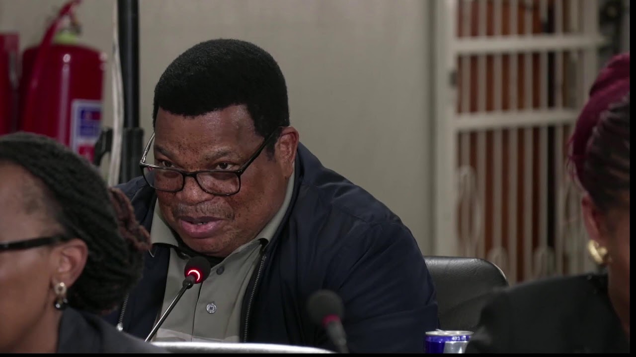 LIVE: Vusimuzi &ldquo;Cat&rdquo; Matlala Appears Before the Parliamentary Ad Hoc Committee