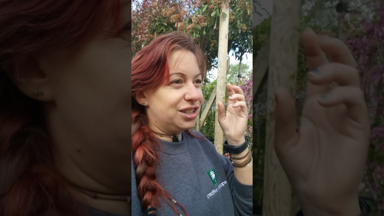 Wednesday Walk Around: week #5