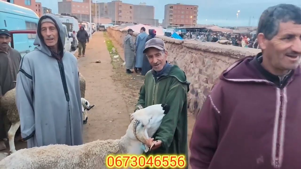 مباشرة من قلب سوق الاتنين قلعة السراغنة بتاريخ9/02/2026,🇲🇦🤲🌨️🌨️💸