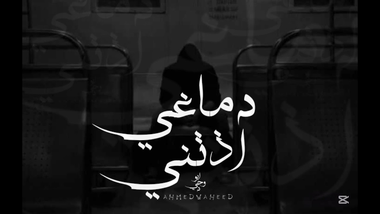 ابو وحيد || دماغي اذتني || ـ Ahmed Waheed