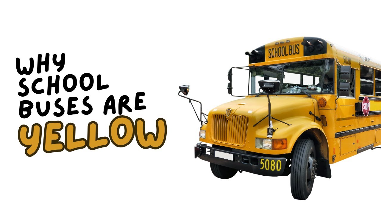 Why School Bus Are Yellow