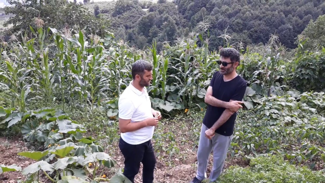 Karadeniz Yaylasında Bir Çift Salâ (Dursun Şahin - M. Erarabacı)