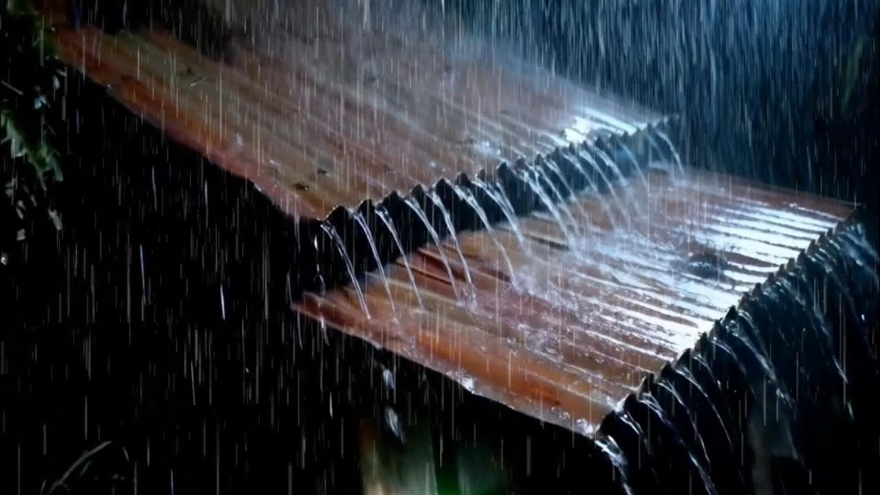 Soothing Night Rain and Thunder ASMR: Heavy Rain for Deep Sleep, Concentration, and Anxiety Relief