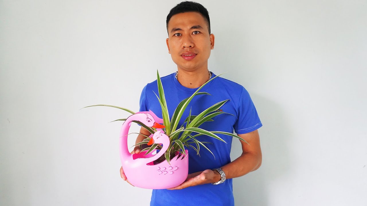 Ideas Recycle Plastic / Tái Chế Can Nhựa Thành Chậu Trồng Cây Con Thiên Nga Cực Đẹp !