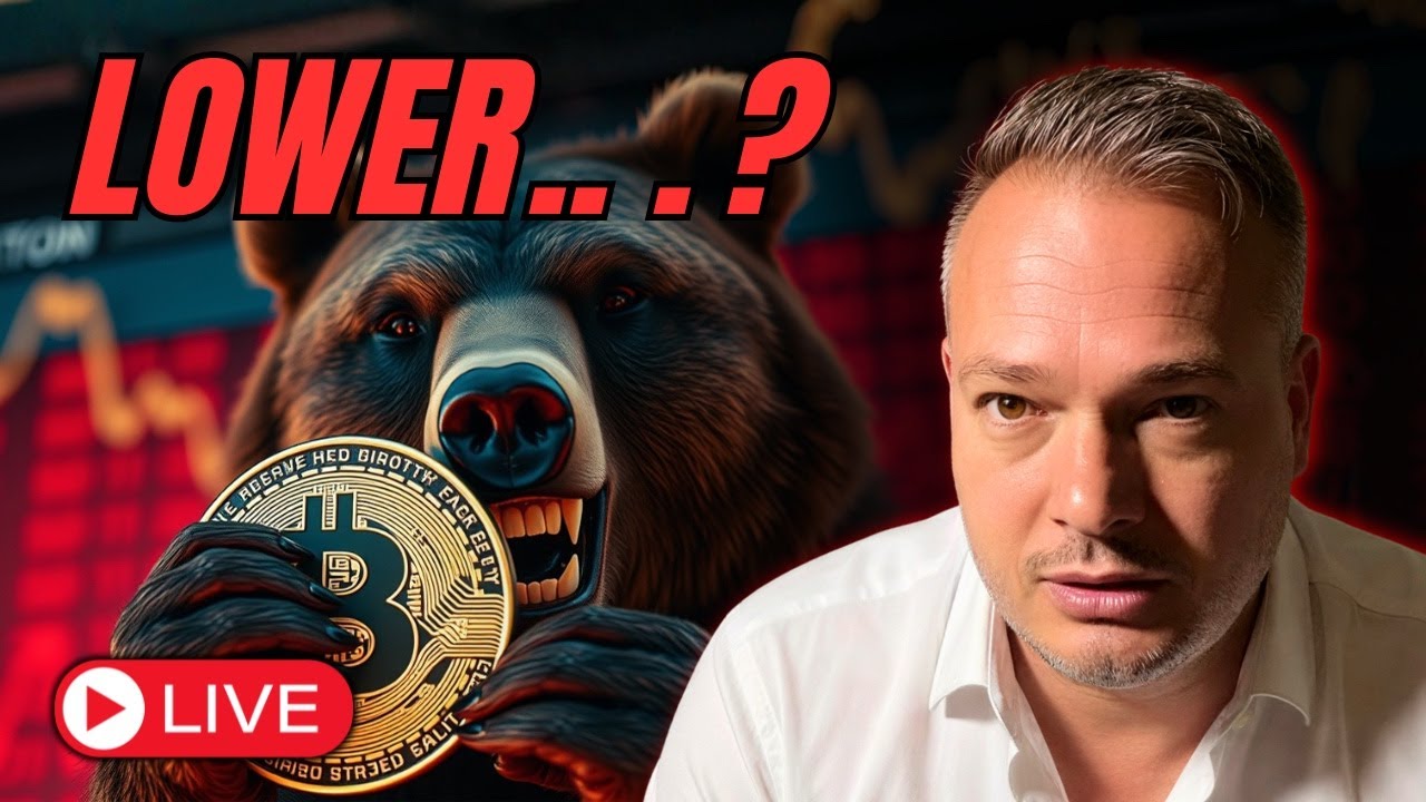 The Bitcoin Crash Has Started, How Much Lower?