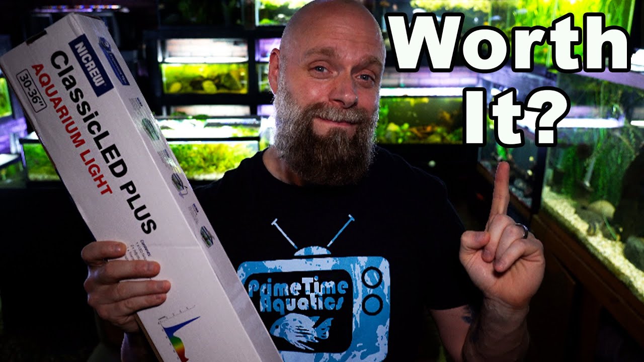 Nicrew Classic Plus LED Aquarium Light Review: Inexpensive Light but What About The Quality?