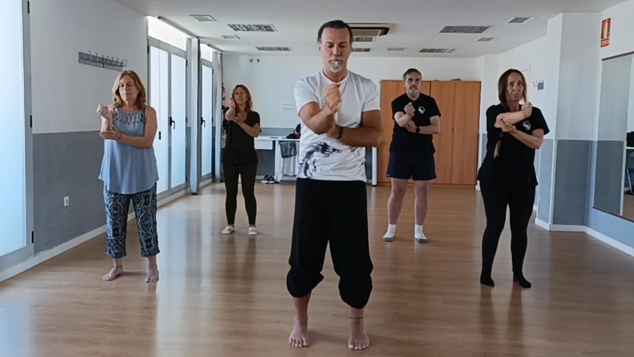 Tai chi 5 secciones solo brazos - Ejercicio mejorar movimientos - Coordinación - Silla de ruedas