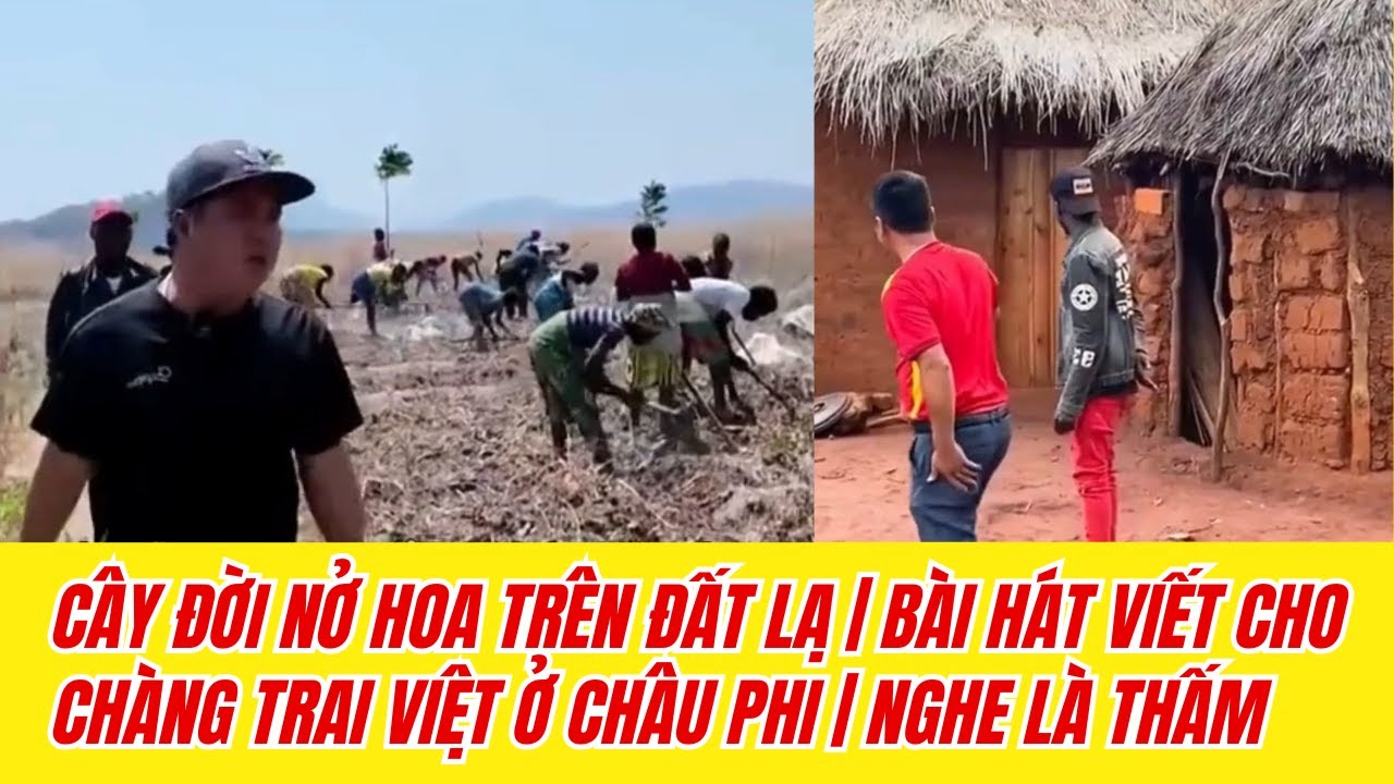 CÂY ĐỜI NỞ HOA TRÊN ĐẤT LẠ | Bài Hát Viết Cho Chàng Trai Việt Ở Châu Phi | Nghe Là Thấm