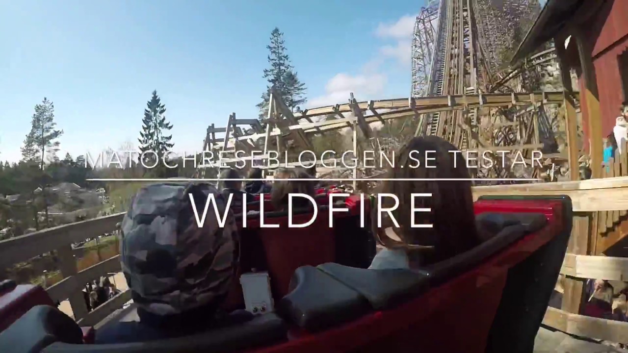 Wildfire på Kolmården