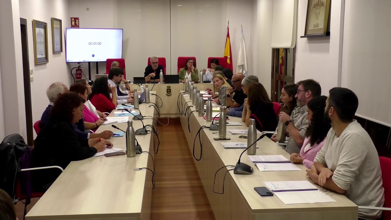 Pleno ordinario agosto 2025