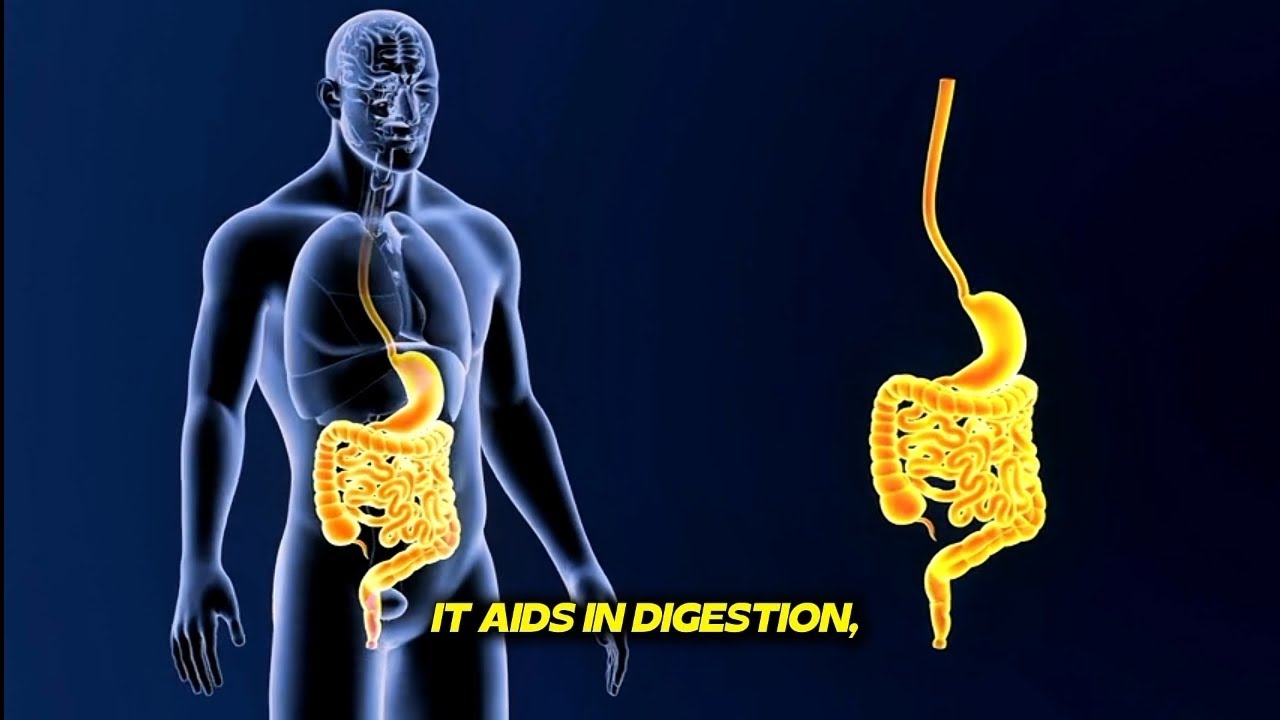 “What Happens Inside Your Body After Eating Sweet Potato? | 3D Medical Animation”