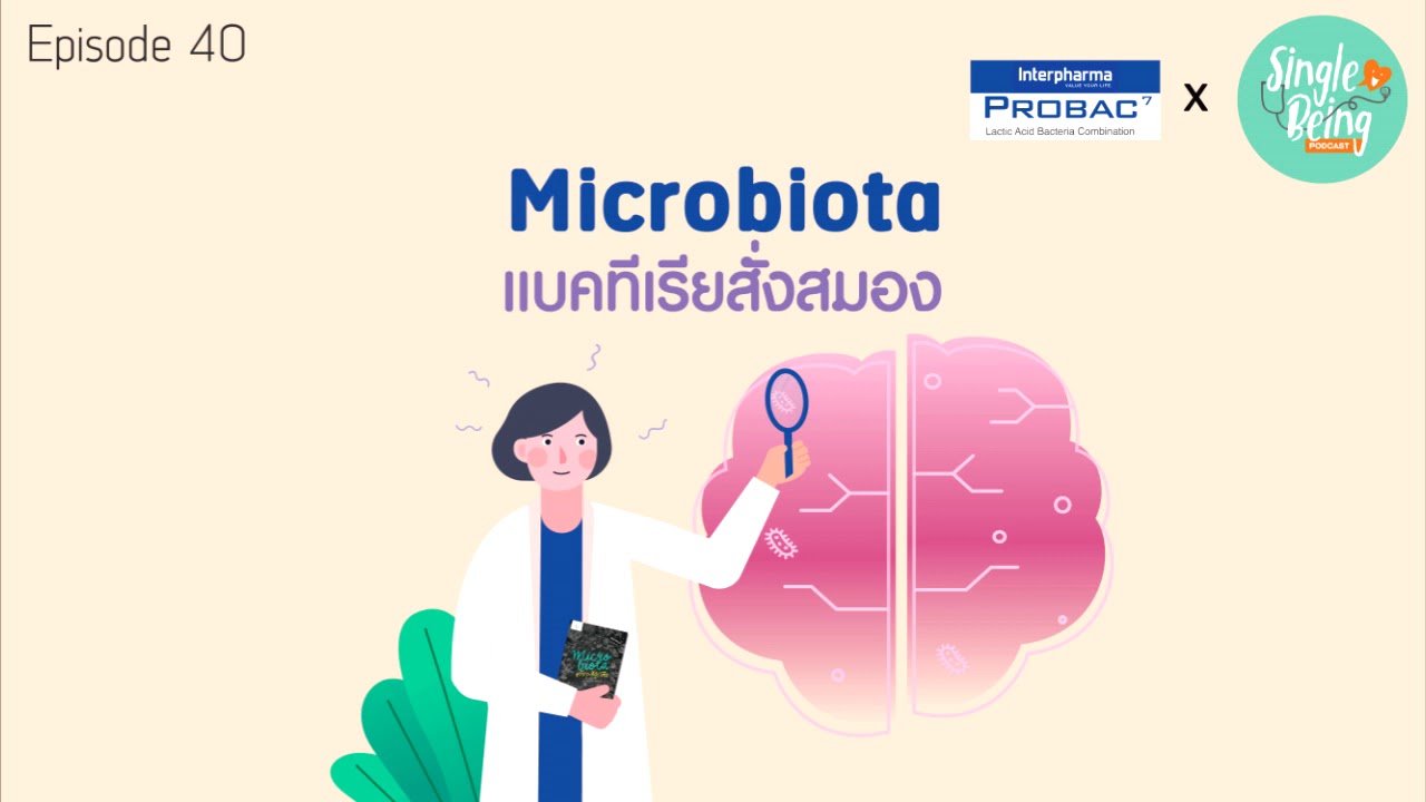 Single Being EP.40 Microbiota แบคทีเรียสั่งสมอง