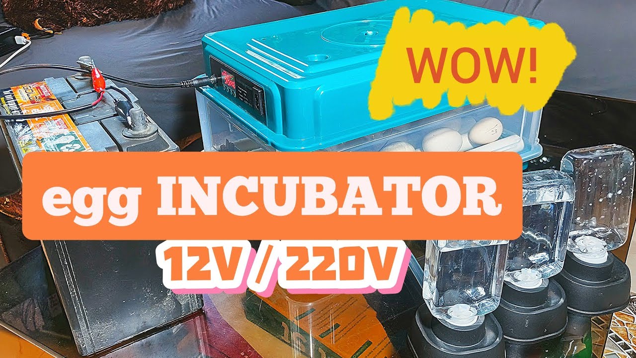 AUTOMATIC EGG INCUBATOR, 12V OR 220V