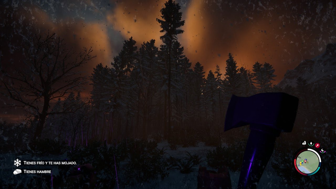 3 dia, un nuevo dia en sonst of the forest 