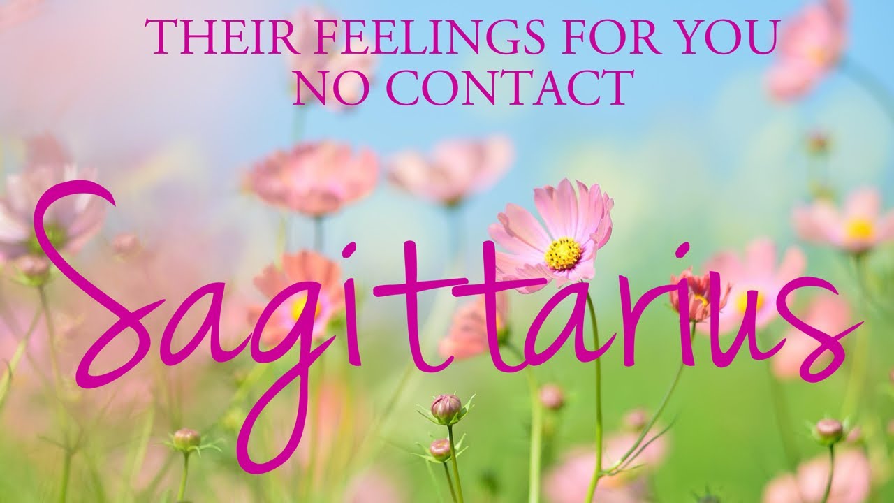 SAGITTARIUS love tarot ♐️ There Is Someone Who Wants You To Know That They’ve Learnt Their Lesson