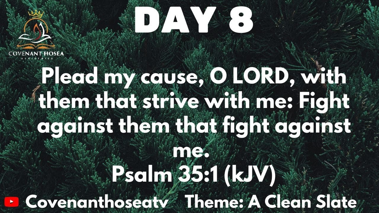 A  CLEAN SLATE WITH A FRESH START (DAY 8)