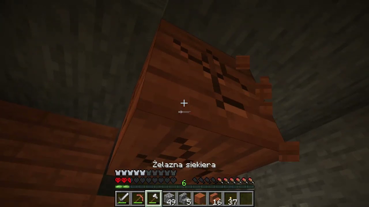 Minecraft HARDCORE
