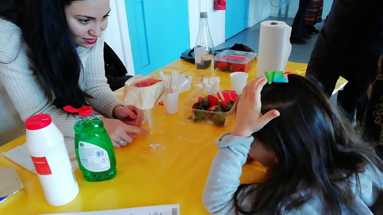 Malak demonstrating how to extract DNA from strawberries in Arabic
