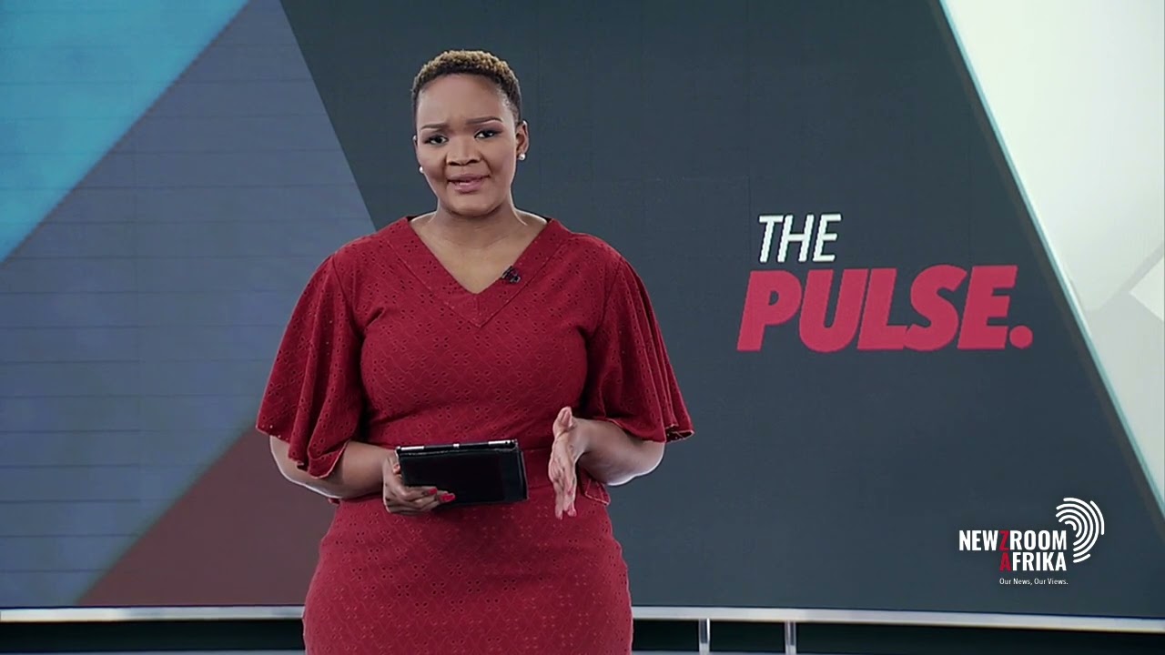 Freedom Under Law concerned that Malema and Adv Mpofu are interviewing candidates for Chief Justice