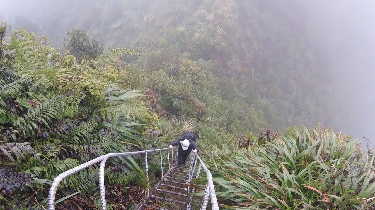 Motutapere Hut Overnight Hike, Kaimai Mamaku Conservation Park