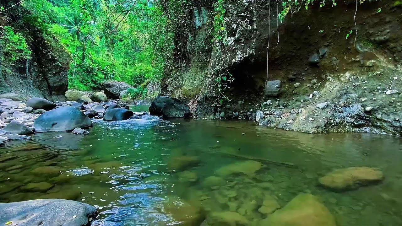 Natural Water Flow Forest River, Mountain Stream Sounds, Sleep