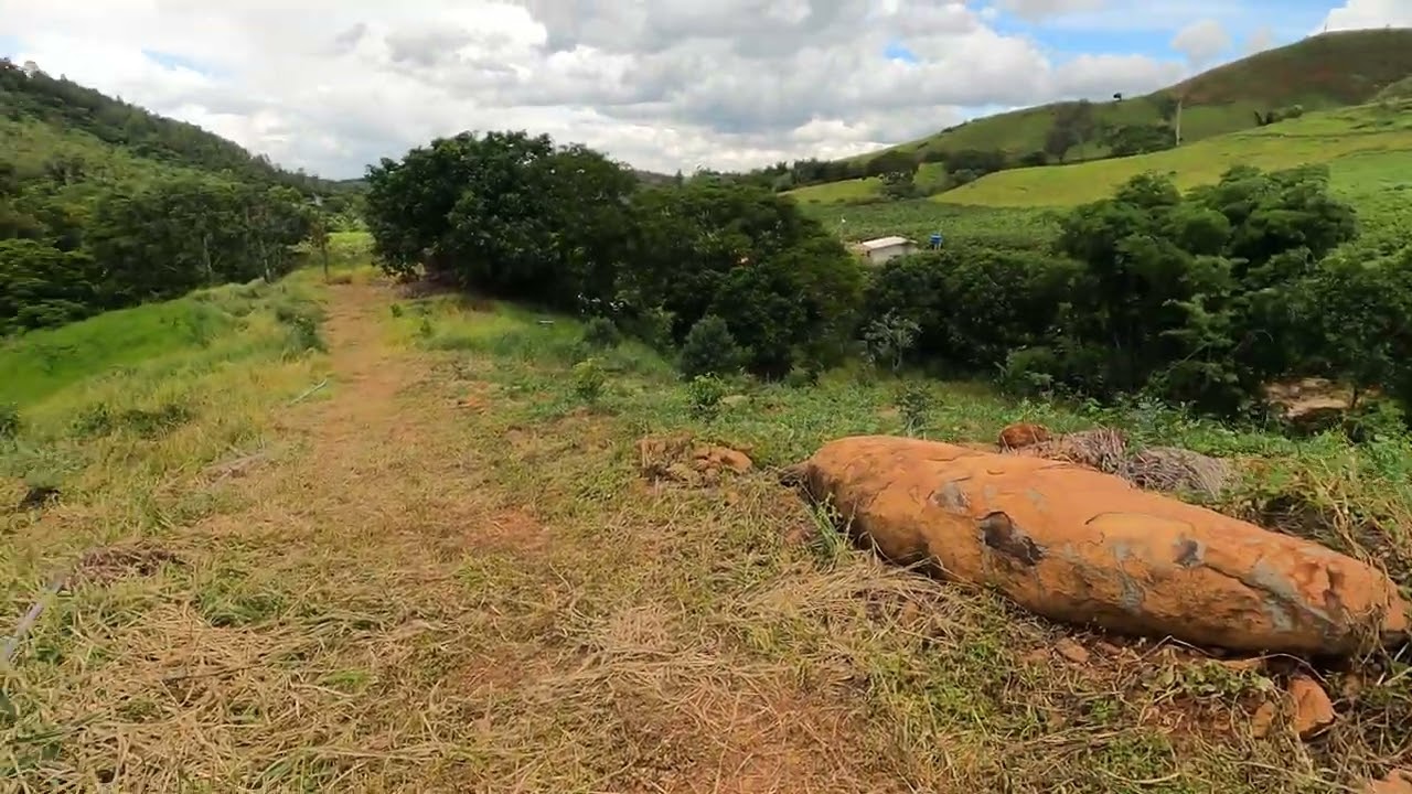 Nova área de mudas frutíferas ( Parte 2)