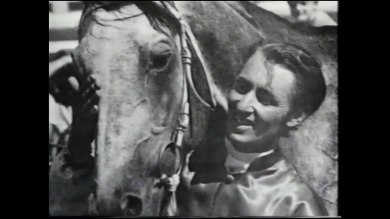 Gunsynd -  "The Goondiwindi Grey" - Trained by Tommy Smith