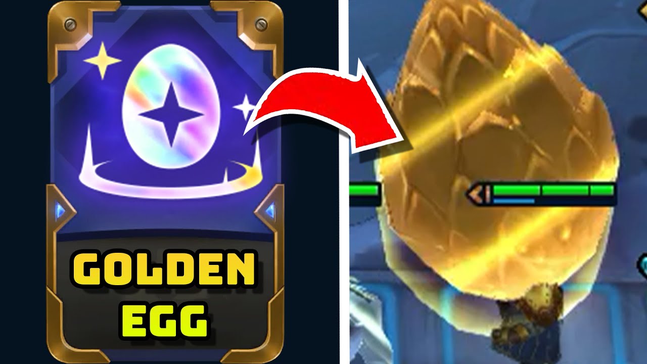 S6.5 The 1% Egg is BACK?!