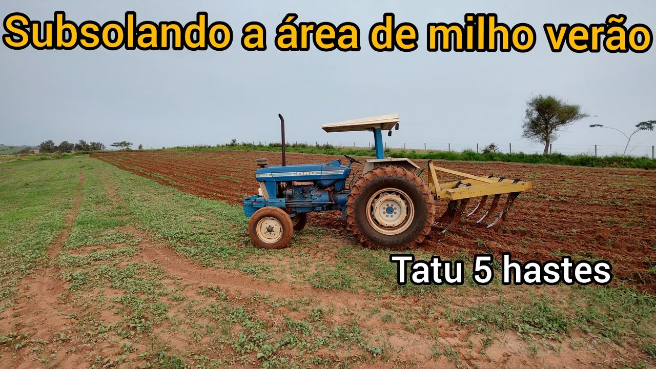 Subsolando terra do milho verão | Subsolador Tatu 5 hastes + trator Ford 5610 turbo!