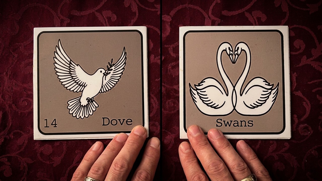 What does MAGA want ? 2026 war ? Roman Bird Oracle by Paris Debono