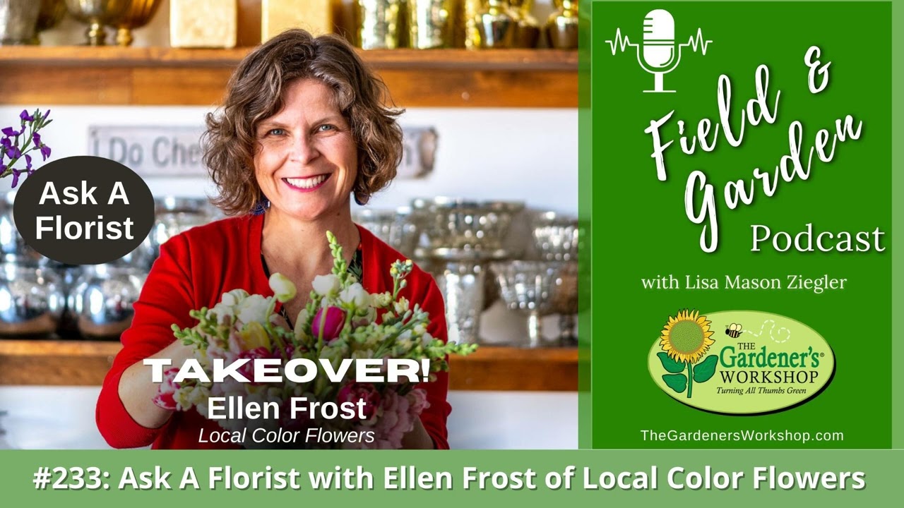 #233: Ask A Florist with Ellen Frost of Local Color Flowers